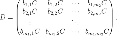      (                             )
       b1,1C    b1,2C   ⋅⋅⋅  b1,m2C
     || b2,1C    b2,2C   ⋅⋅⋅  b2,m  C ||
D  = ||   .             .        2  || .
     (   ..              ..         )
       bm1,1C   bm1,2C   ⋅⋅⋅  bm1,m2C
