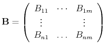 $\displaystyle \mathbf{B}=\left(\begin{array}{ccc}
B_{11} & \cdots & B_{1m} \\
\vdots & & \vdots \\
B_{n1} & \ldots & B_{nm} \\
\end{array} \right)
$