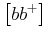 $\displaystyle \left[bb^+\right]$