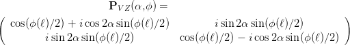 (                     PV Z(α,ϕ ) =                                   )
  cos(ϕ (ℓ)∕2) + icos 2α sin(ϕ(ℓ)∕2)         isin2 αsin(ϕ(ℓ)∕2)

         isin 2α sin(ϕ(ℓ)∕2)         cos(ϕ(ℓ)∕2) - icos2 αsin(ϕ(ℓ)∕2)
                                                        
                                                        
